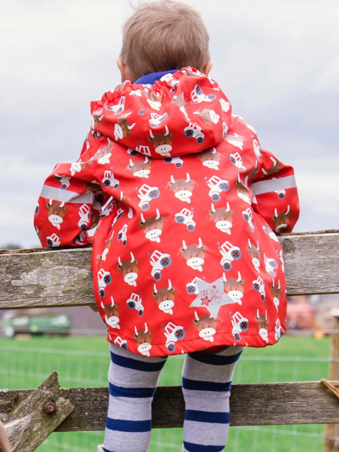 Hamish Highland Cow Raincoat - Image 4