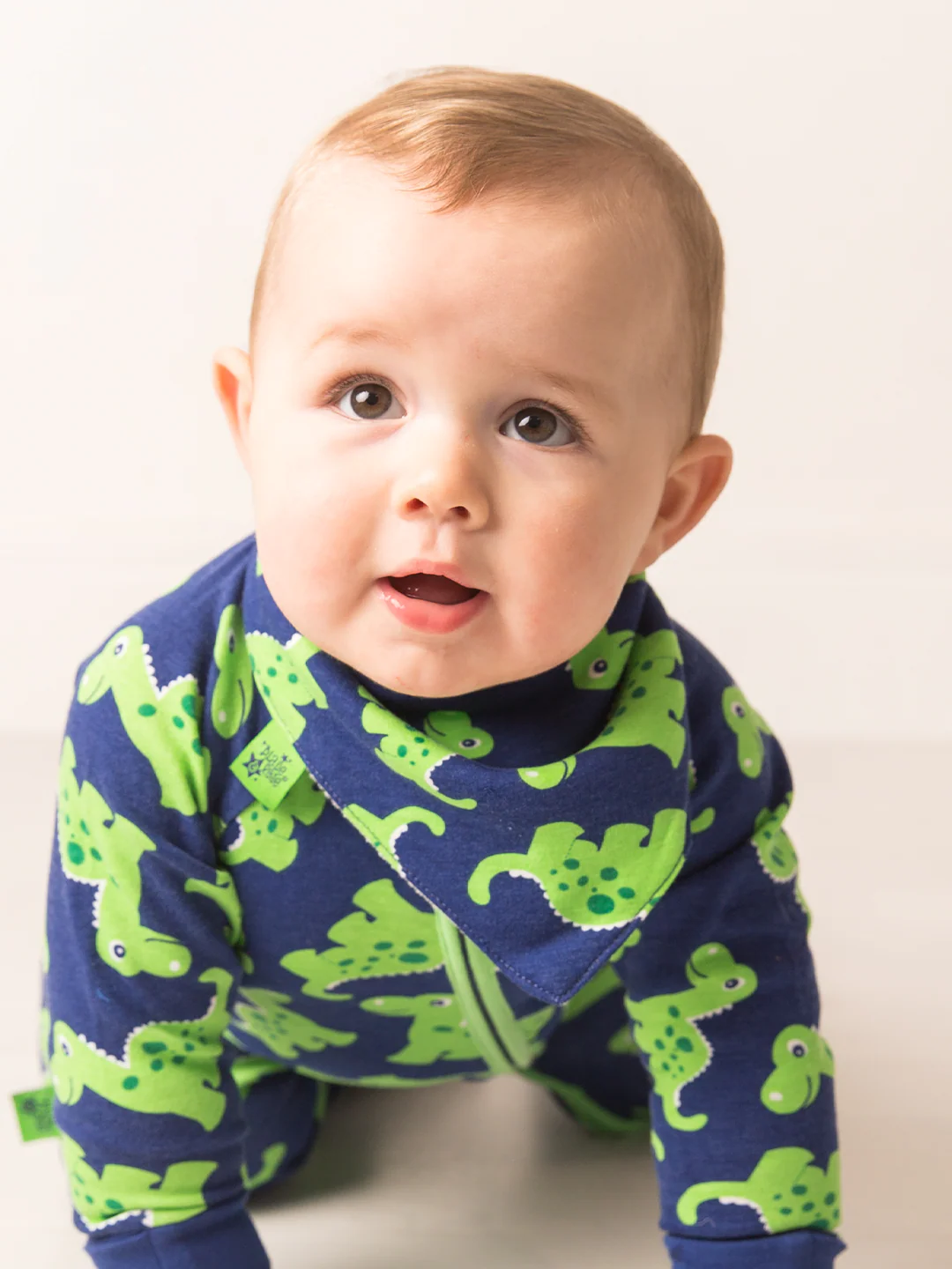 Maple the Dino Bib - Image 5